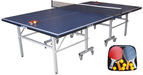 pingpong1.jpg